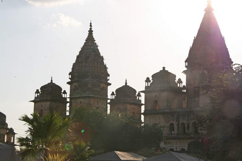 India & Nepal 2011 - 0985